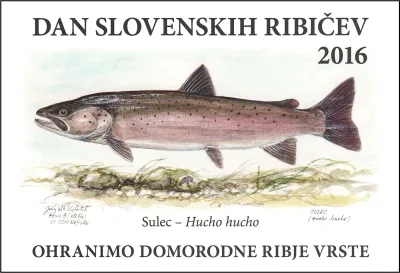 DAN SLOVENSKIH RIBIČEV 2016